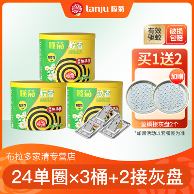 榄菊正品免拆型野菊花型