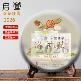 【启莺】2026春茶预售白莺山黑条子千年单株【洛神赋】普洱生茶古