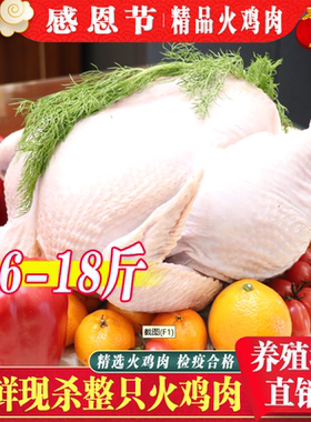 新鲜火鸡肉圣诞火鸡国产非进口西装火鸡感恩火鸡turkey西餐厅火鸡