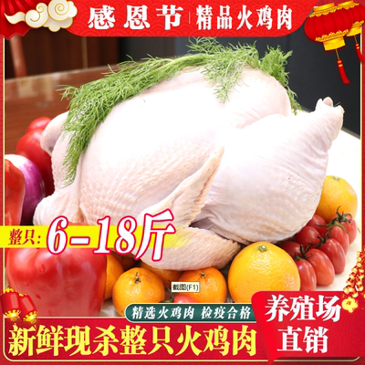 新鲜整只火鸡肉6-25斤顺丰包邮