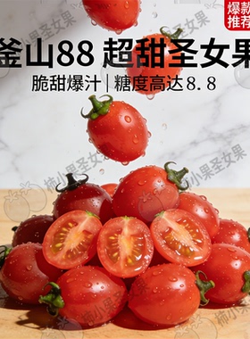 釜山88玲珑小番茄山东小柿子千禧果超甜小番茄蜂蜜圣女果正宗新鲜