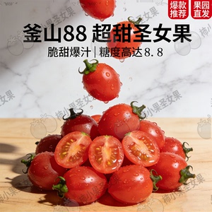 釜山88玲珑小番茄山东小柿子千禧果超甜小番茄蜂蜜圣女果正宗新鲜
