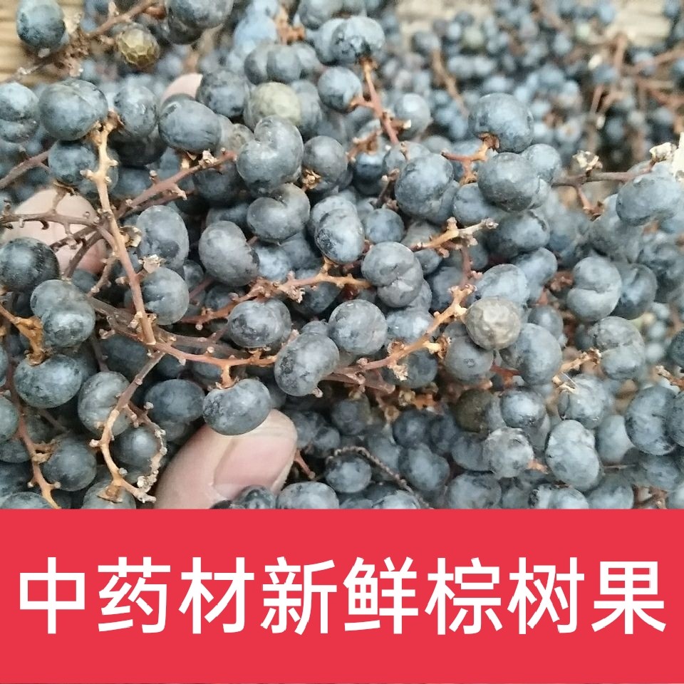 秦岭正品中药材野生无硫棕榈籽棕榈子败棕子棕树果通用散装种子