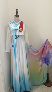 民族舞蹈演出服.朝鲜舞蹈飞花蝶语同款演出服艺考生剧目服表演服