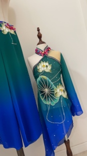 民族舞蹈演出服剧目服，古典舞蹈《羽化灵蛇》演出服高级定制，