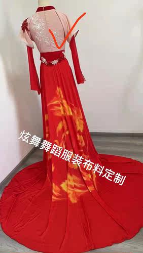 民族舞蹈演出服.舞台表演服装布料.舞蹈红艳凝香同款印花裙摆面料