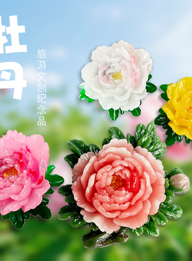 洛阳菏泽特色纪念品牡丹花冰箱贴