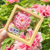 河南洛阳特色牡丹花3D立体冰箱贴磁性吸贴旅游文创纪念品伴手礼物