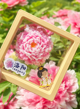 河南洛阳特色牡丹花3D立体冰箱贴磁性吸贴旅游文创纪念品伴手礼物