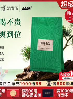 竹叶青品味牌毛尖特级袋装100g