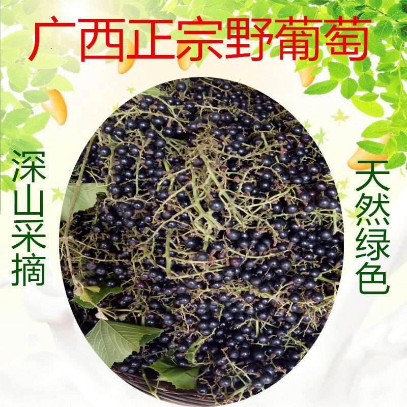 汽运广西正宗野生山葡萄diy葡萄酒自制酵素非巨峰赤霞珠夏黑整箱