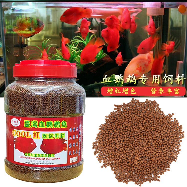 增艳不浑水饲料招财鱼血鹦鹉