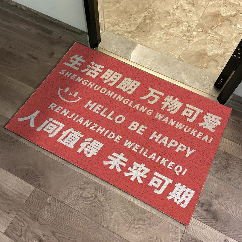 红色地毯进门防滑丝圈脚垫入户门免洗定制门口地垫厕所门垫可裁剪