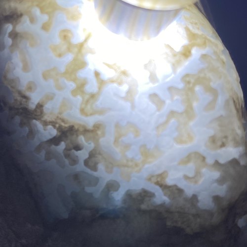 后江翡翠原石毛料 天然缅甸玉石开窗料 肉细水头好 肉细沙紧