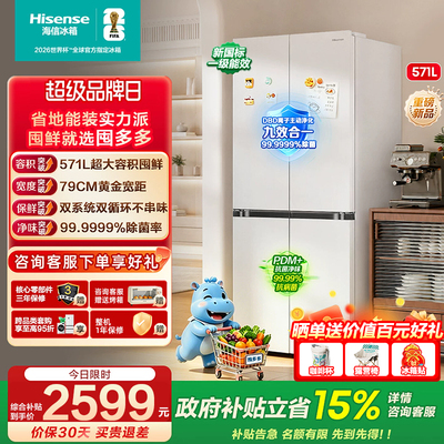 海信囤多多571双系统大容量冰箱