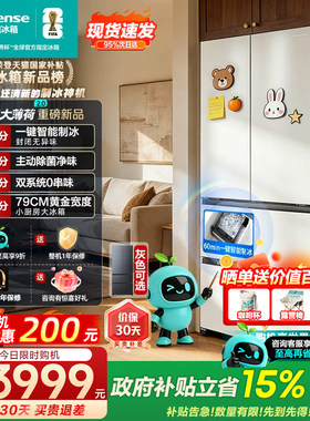 海信大薄荷2.0法式冰箱自动制冰
