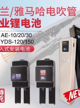 罗兰电吹管嵌入式数显锂电池AE10AE20AE30超薄长续航全新正品