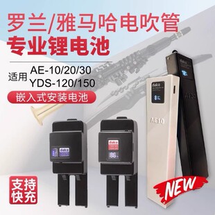 罗兰电吹管嵌入式数显锂电池AE10AE20AE30超薄长续航全新正品