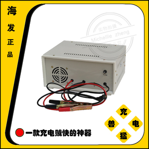定制牌大功率汽车电瓶充电机40A12V/24V货车汽车蓄电池充电器议价