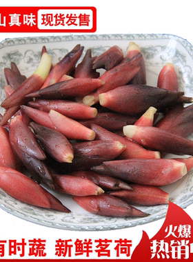 2026阳荷姜新鲜洋荷笋莲花姜