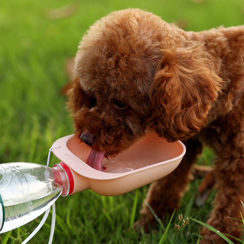 狗狗外出水壶水杯便携矿泉水瓶饮水器头夏季宠物喂水器建议喂水头