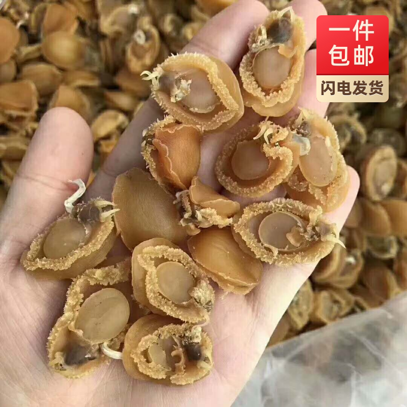 干鲍鱼鲜活鲍鱼海鲜干货佛跳墙迷你鲍鱼仔鲍鱼干250g包邮