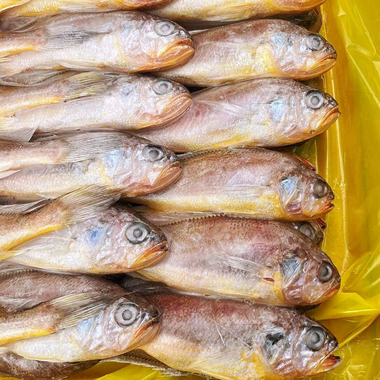 海捕小黄鱼500克每包调味腌制黄花鱼免切免洗去内脏冷冻小黄鱼,水产肉类/新鲜蔬果/熟食,包装鱼类预制菜,淘宝优惠券,粉丝福利购,淘宝优惠卷