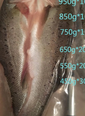 腌制海鲈鱼条活杀冰鲜烤鱼纸包鱼腌制烧烤夜宵鲜嫩净含量85%冰少