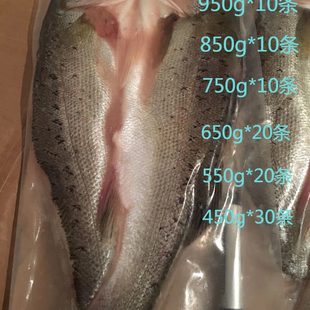 腌制海鲈鱼条活杀冰鲜烤鱼纸包鱼腌制烧烤夜宵鲜嫩净含量85%冰少