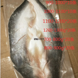 烤鱼冻开背湄公鱼腌制巴沙鱼烧烤纸包鱼1000 10条量大价优 1100g