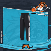 篮球系列男大童运动束脚舒适系带宽松卫裤 李宁正品 新款 YKLU133