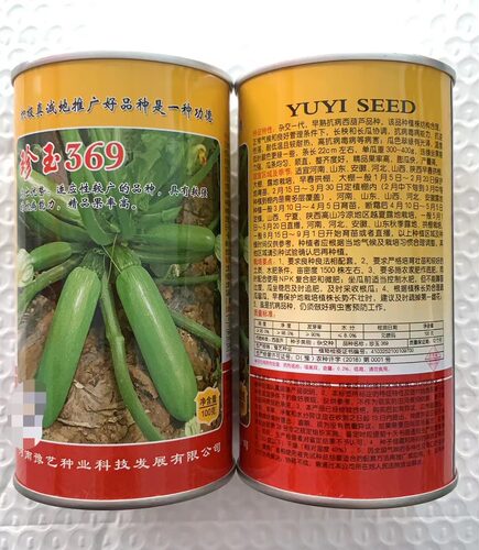 豫艺西葫芦耐热油绿皮