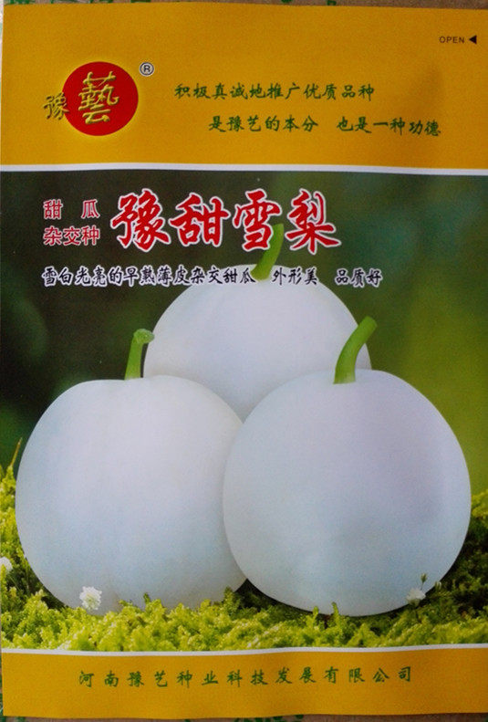 豫艺豫甜雪梨甜瓜种子 早熟薄皮甜瓜 产量高 豫甜金玉 500粒/袋