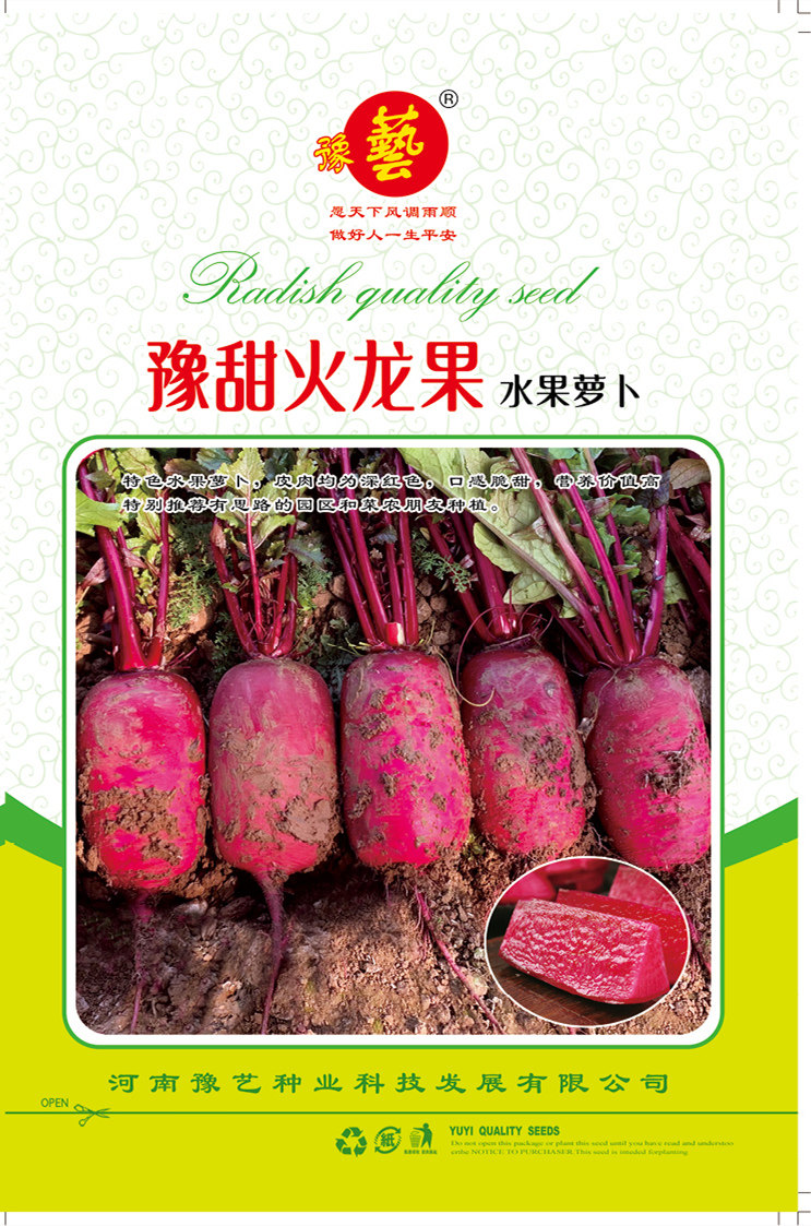 豫艺水果萝卜果肉深红色