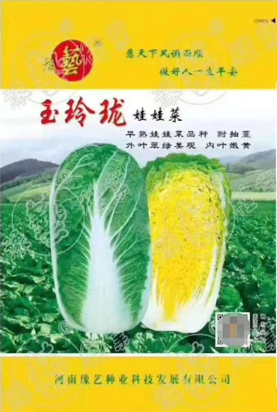 豫艺玉玲珑娃娃菜早熟