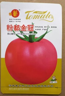 豫艺粉都金冠番茄种子 早熟粉红色番茄果肉较厚耐储运，1000粒/袋
