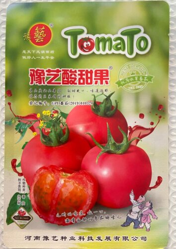 番茄种子酸甜果礼品番茄豫艺