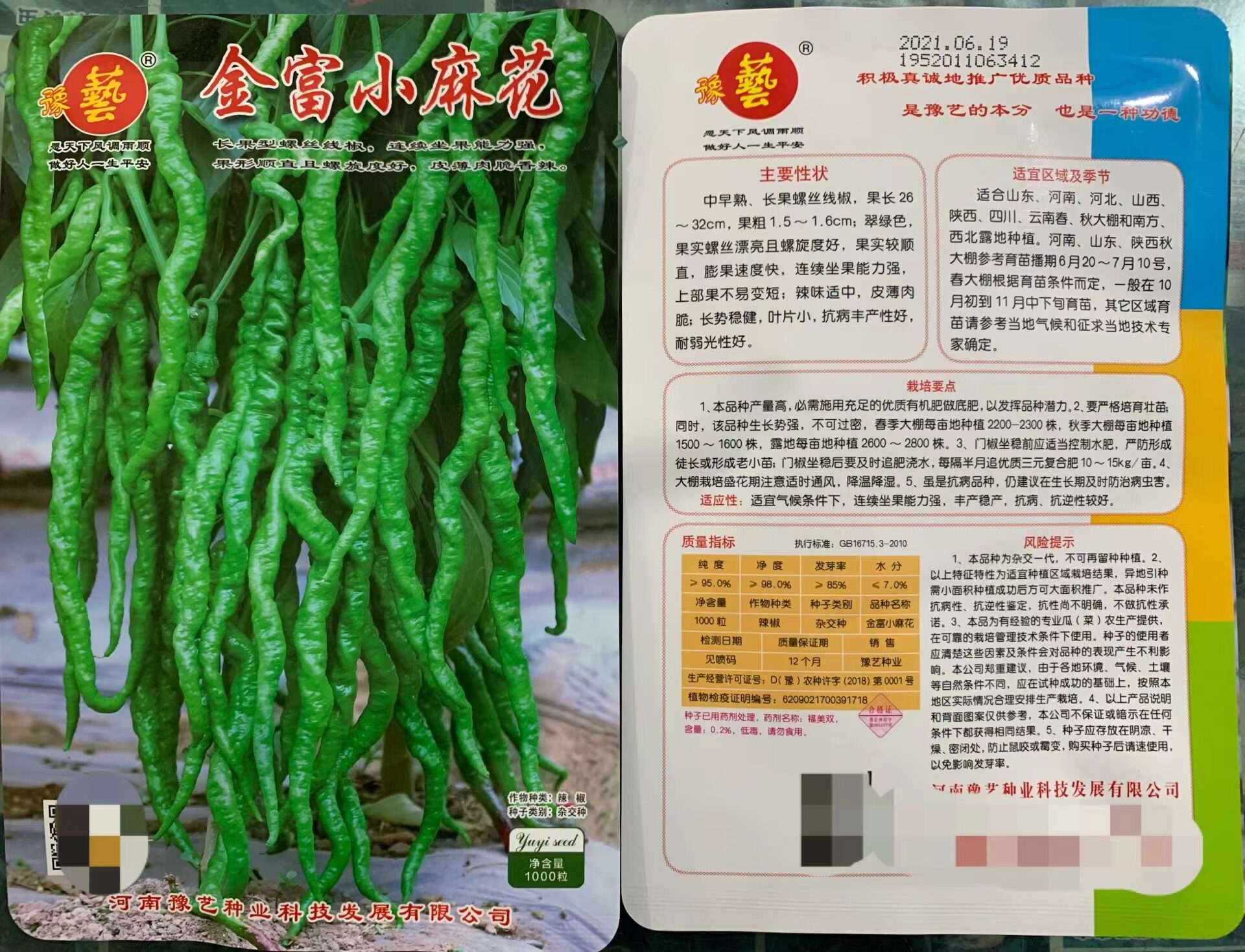 豫艺种业 金富小麻花 长果螺丝线椒种子 皮薄肉脆香辣 1000粒/袋
