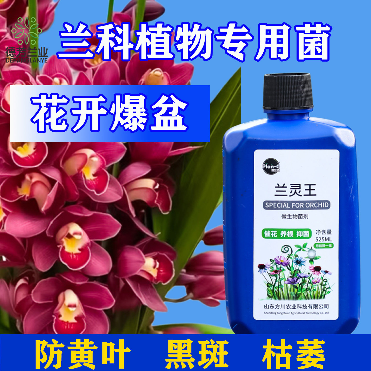 兰花兰灵王专用肥营养液肥料防黄叶兰科活化土壤微生物剂促花兰菌,鲜花速递/花卉仿真/绿植园艺,家庭园艺肥料,淘宝优惠券,粉丝福利购,淘宝优惠卷