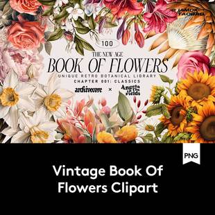 欧式 油画质感色彩花卉植物树叶插画PNG免抠素材 高端古典主义风格