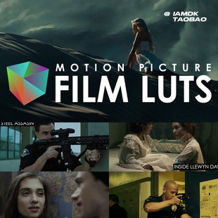 教程 视频调色LUTS预设 FCPX 达芬奇等 高级好莱坞电影风格