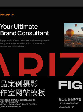 15屏暗黑摄影作品案例展示工作室网站ui界面设计figma/framer模板