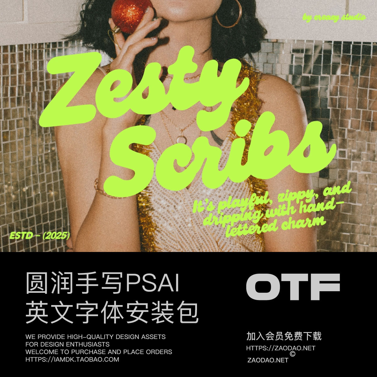 俏皮圆润手写儿童读物品牌包装标题logo设计psai英文字体安装包