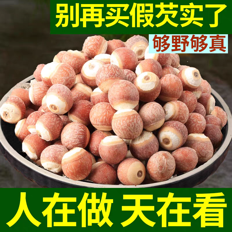 新鲜肇庆野生芡实干货特级中药材当季新货欠实鸡头米茯苓薏米茨实
