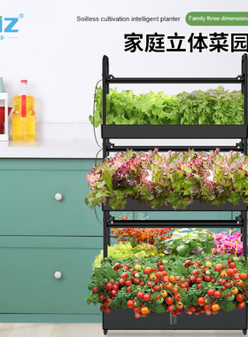跨境代发欧林泽水培蔬菜
