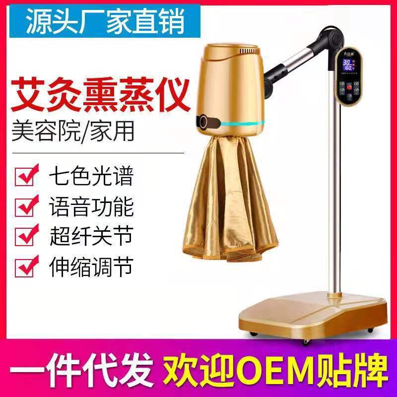 艾灸仪器家用美容院熏蒸