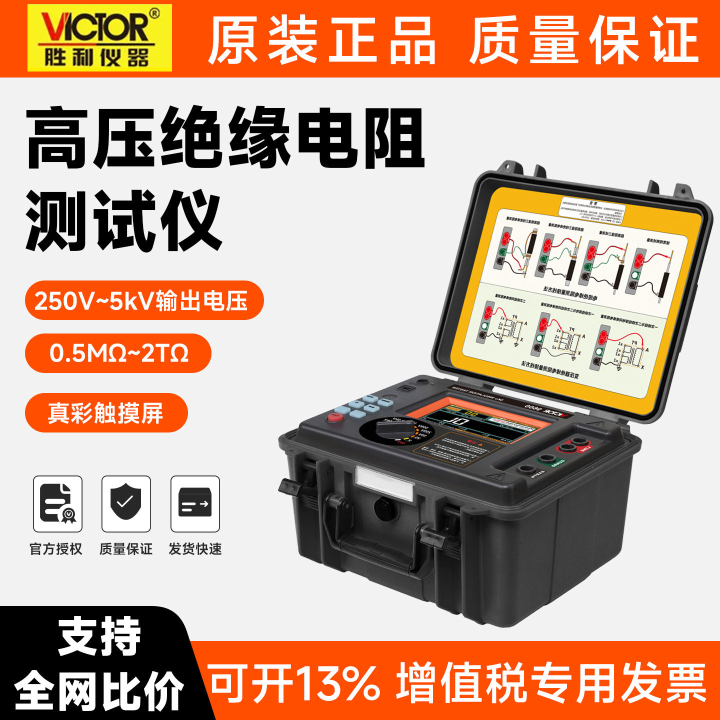 胜利绝缘电阻测试仪VC960