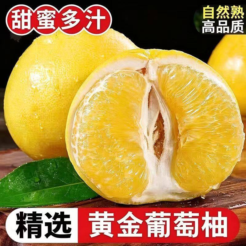 【福建黄金葡萄柚】清甜爆汁