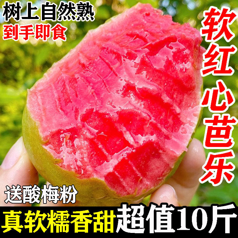 [顺丰包邮]软糯红心芭乐不甜包赔