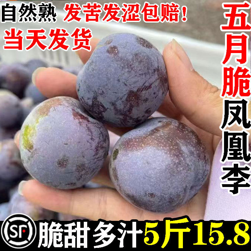 【15.8/5斤】顺丰当天发